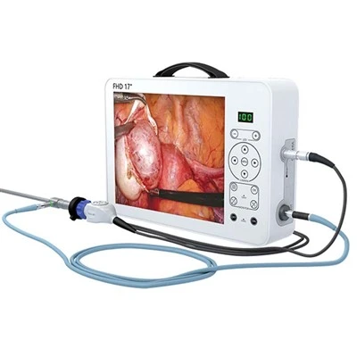 Videocamera endoscopica portatile medica